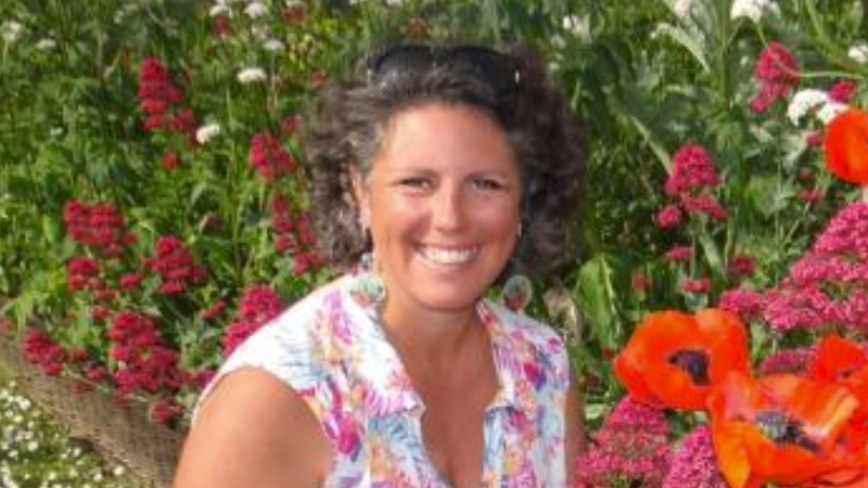 Les plantes médicinales